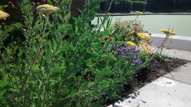 93A13B34-F6FB-4625-8E3B-BEAA084F0671